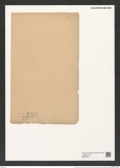 Actinocyclus subtilis (Greg.) Ralfs. (de-Toni-Nr.: Genus 195, Species 4786) Zeichnungen Sammlung Grunow (NHMW-BOT-W0377871)
